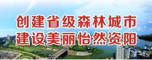 黄色插逼创建省级森林城市 建设美丽怡然资阳